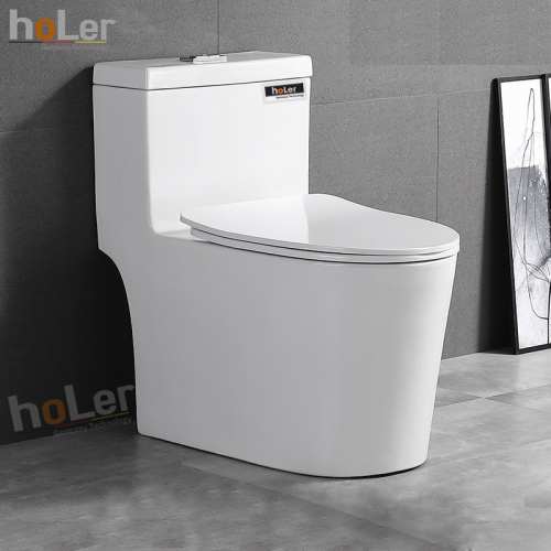 Bồn Cầu 1 Khối Holer HLBC249