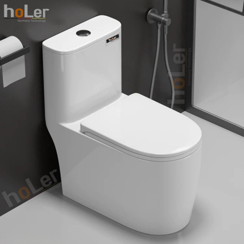 Bồn Cầu 1 Khối Holer HLBC263