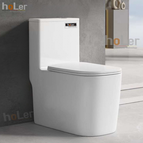 Bồn Cầu 1 Khối Holer HLBC266