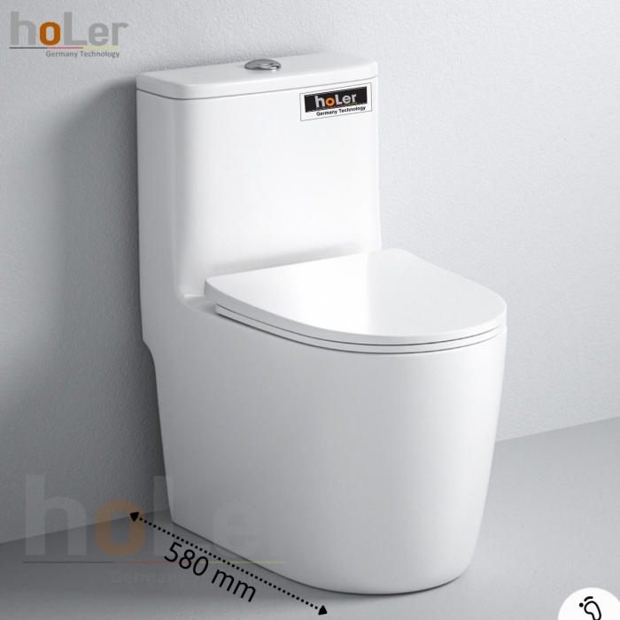 Bồn Cầu 1 Khối Holer HLBC269