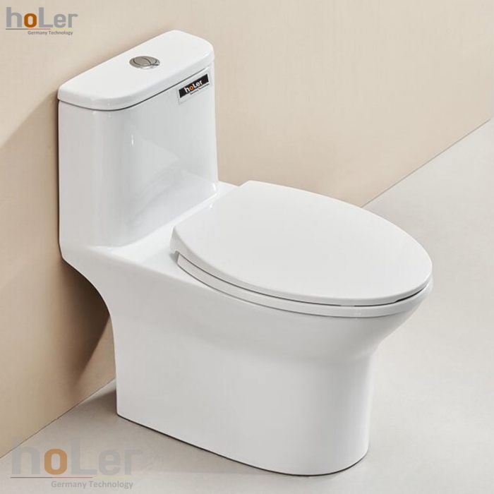 Bồn Cầu 1 Khối Holer HLBC271