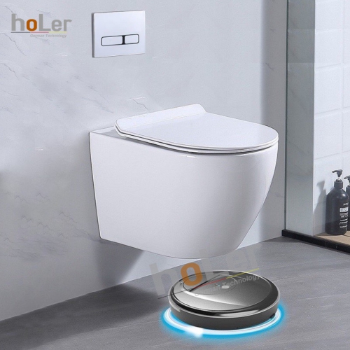 Bồn Cầu Treo Tường HoLer HL242