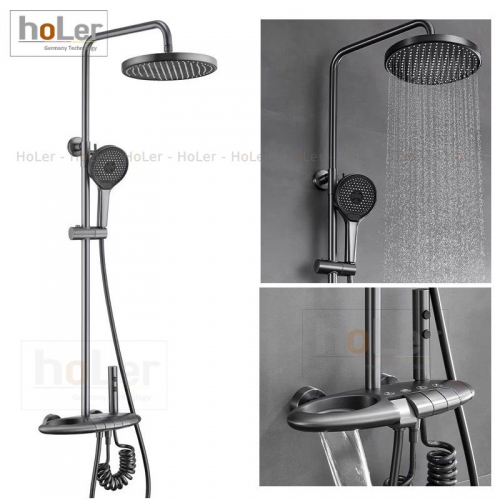 Sen Cây Đồng Thau Sơn Tĩnh Điện Xám Holer HL278