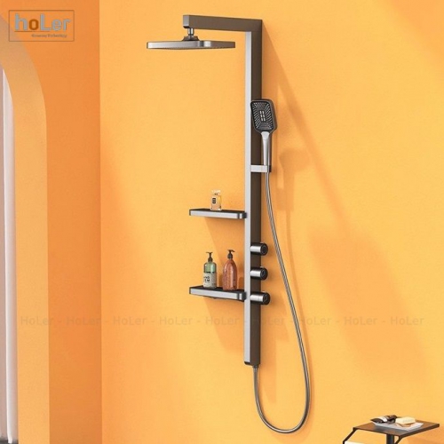 Sen Cây Tắm Đứng Inox Sơn Tĩnh Điện Xám HoLer HL252