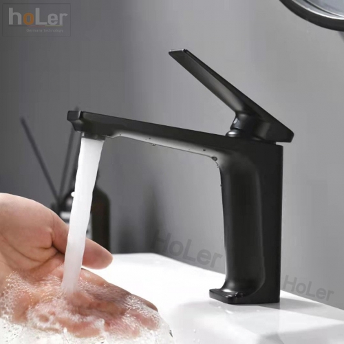 Vòi Lavabo Lạnh Đồng Sơn Tĩnh Điện Đen Holer HL-LB637